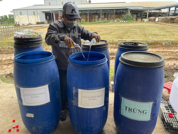 Quy trình sản xuất lúa hữu cơ - Gạo SEPON - Công Ty TNHH TPP One